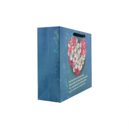 Custom Printed Retail Art Paper Gift Bag for Shopping